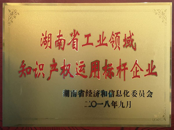 湖南省工業領域知識產權運用標桿企業